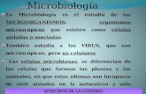 Microbiología SITIO WEB DE LA CÁTEDRA: