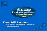 TecnoHill Systems Soluciones de Negocio e-Bussines .