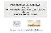 Comisión Gremial de Molinos PROBLEMAS de CALIDAD en la en la INDUSTRIALIZACIÓN DEL TRIGO de la ZAFRA 2005 - 2006.
