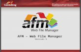 AFM – Web File Manager Versión 5. Novedades técnicas – Forma de Implementación Siguiendo última tecnología de Microsoft: Framework.NET 3.5 Implementación.