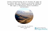 Causas estructurales de la escasez de agua en la cuenca del r­o Petorca y acciones desde el proyecto Sistemas participativos de gesti³n del agua y desarrollo