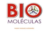MARIO VASQUEZ AVENDAÑO. Química de la vida Bioelementos Biocompuestos Carbohidratos Lípidos Proteínas Ácidos nucleicos Fuente de energía Reserva energética.