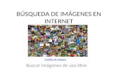 BÚSQUEDA DE IMÁGENES EN INTERNET Buscar imágenes de uso libre Crédito de imagen.