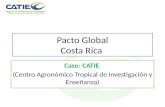 Pacto Global Costa Rica Caso: CATIE (Centro Agronómico Tropical de Investigación y Enseñanza)