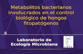 Metabolitos bacterianos involucrados en el control biológico de hongos fitopatógenos Laboratorio de Ecología Microbiana.
