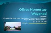 Olives Luxury Homestay in Wayanad