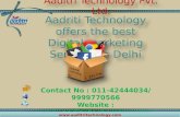 Digital Marketing Services, Digital Marketing Company in Delhi