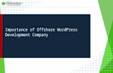 Importance of Offshore WordPress Development Company