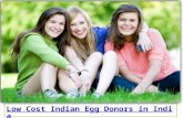 Low Cost Indian Egg Donors in India