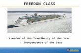 Freedom of the Seas Cruise Ship - Royal Caribbean International