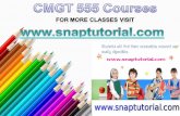 CMGT 555 Course Tutorial/SnapTutorial