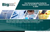 Gas Chromatography Market by Segment (Gas Chromatography Accessories and Co