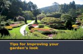 Tips for Improving your garden’s look