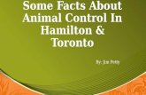Some Facts About Animal Contro