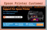 (1-800-824-4013) Epson Printer Customer Service Telephone Nu