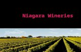 Niagara Wineries