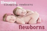 Sleeping Newborns