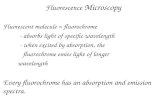 Fluorescence  Microscopy Fluorescent molecule = fluorochrome