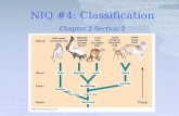 NIQ #4: Classification