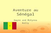 Aventure au Sénégal