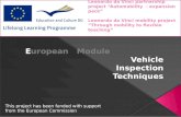 E uropean   Module                     Vehicle Inspection Techniques