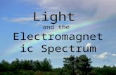 Light  and the  Electromagnetic Spectrum