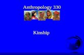 Anthropology 330