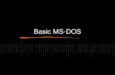 Basic MS-DOS
