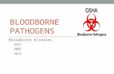 Bloodborne      pathogens