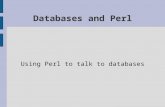 Databases and Perl