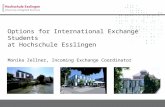 Options for International Exchange Students  at Hochschule Esslingen