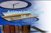 （全新版）大学英语 《 综合教程 》 第一册 Unit 6 Animal Intelligence