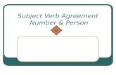 Subject Verb Agreement  Number & Person