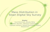 Mass Distribution in  Sloan Digital Sky Survey
