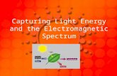 Capturing Light Energy and the Electromagnetic Spectrum