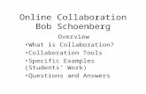 Online Collaboration Bob Schoenberg