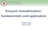 Enzyme immobilization: fundamentals and application