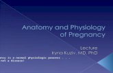 Anatomy and Physiology of Pregnancy
