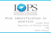 Risk identification in practice