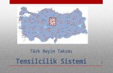 Türk Beyin Takımı T emsilcilik Sistemi