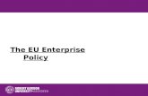 The EU Enterprise Policy
