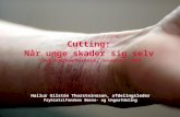 Cutting:  Når unge skader sig selv Vejlederkonference, november 2009