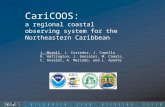 CariCOOS:  a regional coastal observing system for the Northeastern Caribbean