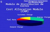 Modulo de Distribucion de Costos Cost Allocation Module (CAM)