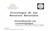 Estrategia de los Recursos Naturales Intensificación con sustentabilidad