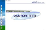 DCS-828  제품소개