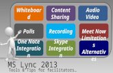 MS Lync 2013
