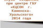 Клубы  созданные при центре ГБУ «КЦСОН  г. Каменска-Уральского» 2014  года