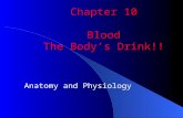 Chapter 10 Blood The Body’s Drink!!