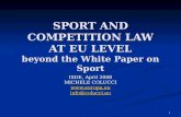 SPORT AND COMPETITION LAW AT EU LEVEL beyond the White Paper on Sport